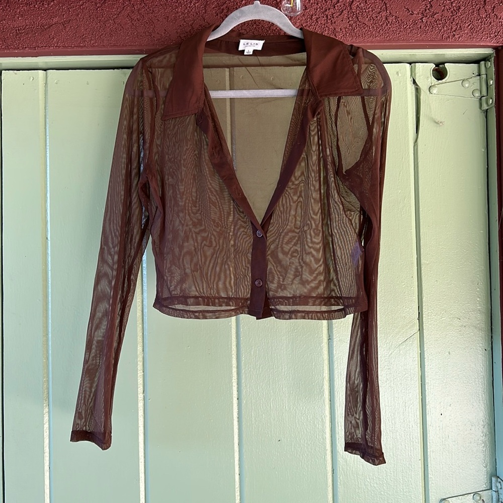 Sheer Brown Top